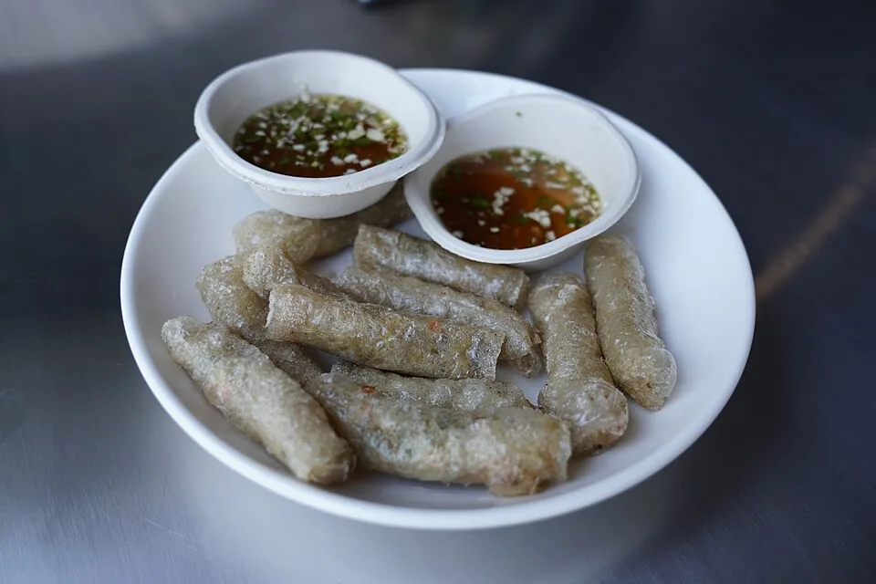 Gebakken Vietnamese chả giò-loempia’s