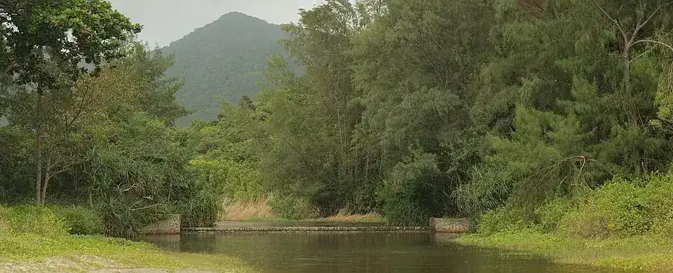 Water and wooded slopes in Côn Đảo National Park